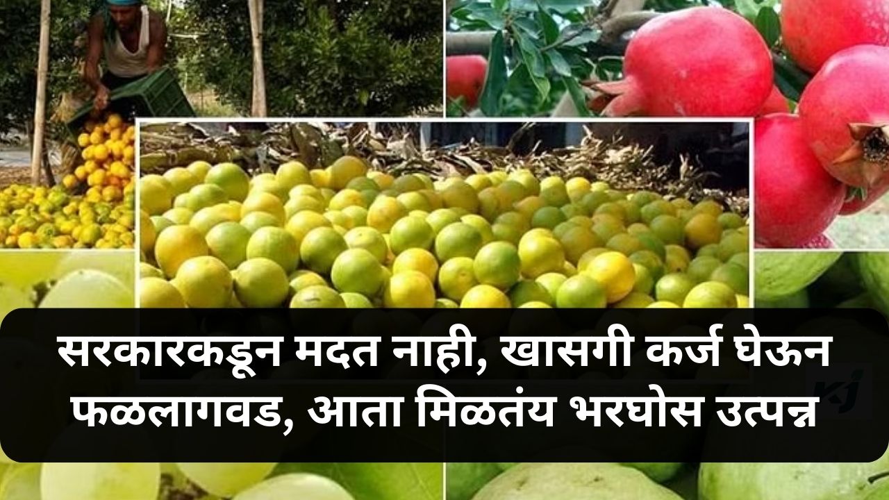 fruit cultivation update News