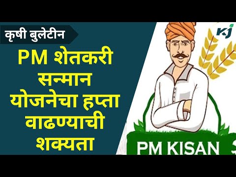 Maharashtra News:PM शेतकरी सन्मान योजनेचा हप्ता वाढण्याची शक्यता |Farmer News| PM Kisan Sanman Nidhi