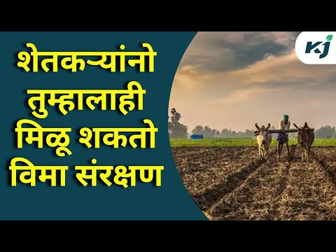 Maharashtra News:" तुम्हाला मिळू शकते विमा संरक्षण " Farmer News | Government Scheme |Crop Insurance