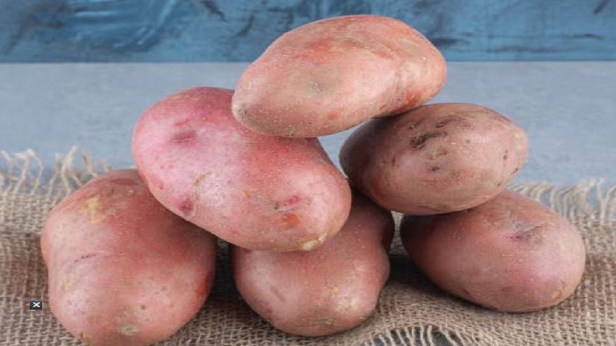 pink potatoe
