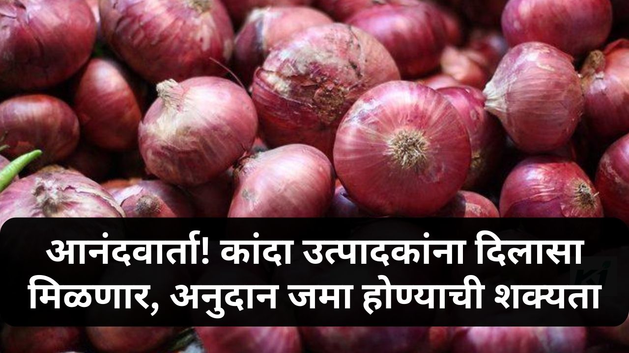 Onion Subsidy News