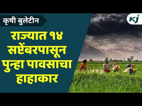 Maharashtra Rain Update_ राज्यात पुढील काही दिवस पावसाची शक्यता नाही_ Weather update News _ Weather