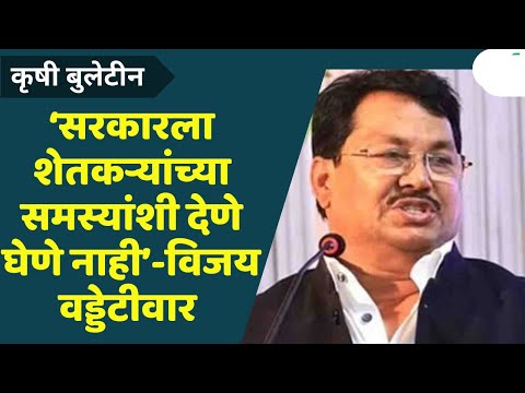 Maharashtra News: सरकारला शेतकऱ्यांच्या समस्यांशी देणे-घेणे नाही-विजय वडेट्टीवार | Namo Yojana News