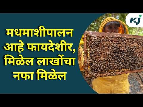 Beekeeping: मधमाशीपालन आहे फायदेशीर,एका महिन्यात लाखोंचा नफा मिळेल | beekeeping subsidy