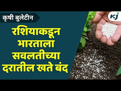 Agriculture News: रशियाकडून भारताला सवलतीच्या दरातील खते बंद| Fertilizer Update | Tomato Rate | Rain