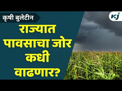 Rain Update: राज्यात पावसाचा जोर कधी वाढणार? | Indian Agriculture | Weather Update | Rain News