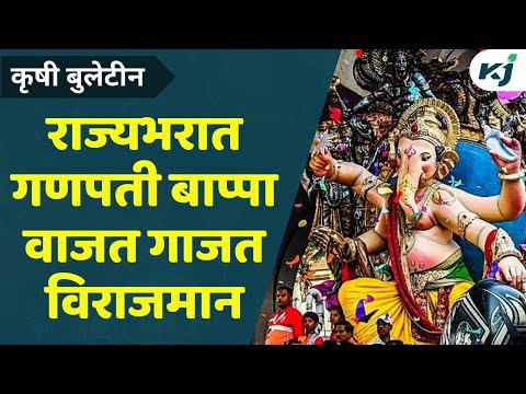 Ganpati Utsav: गणपती बाप्पाचं राज्यात आगमन | Ganpati festival | Maharashtra ganesh Utsav