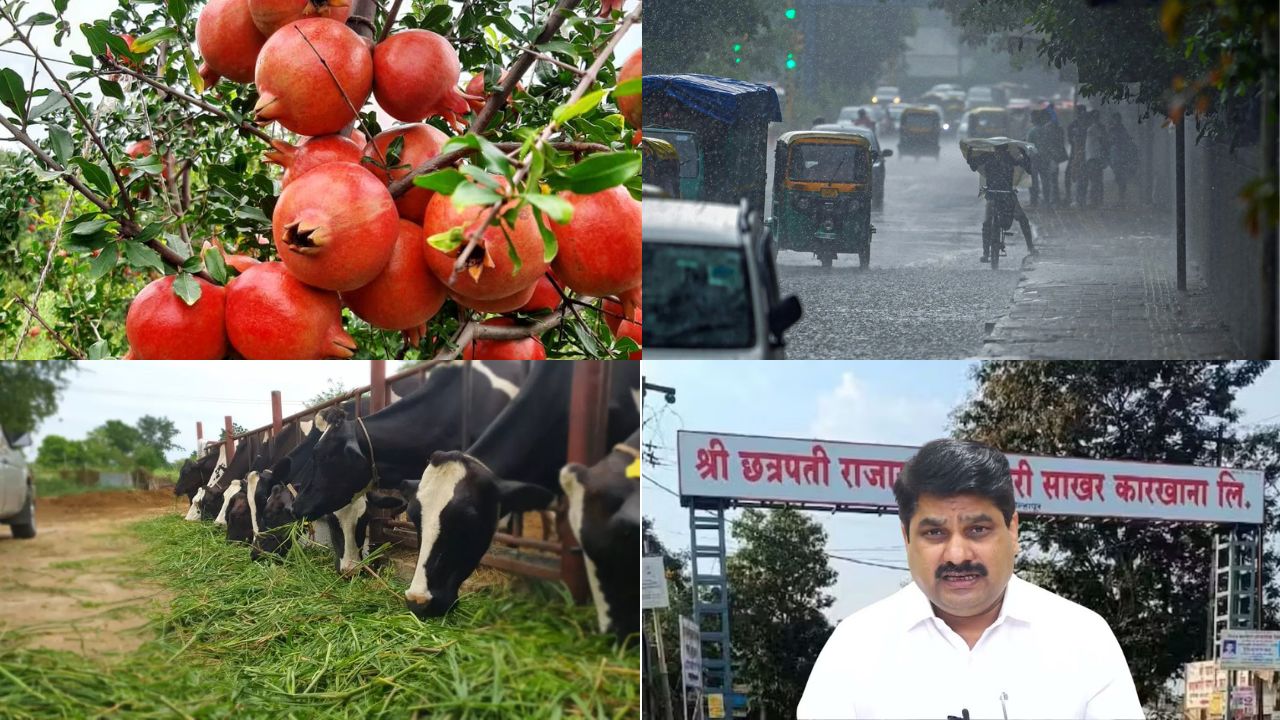 Agriculture News Update