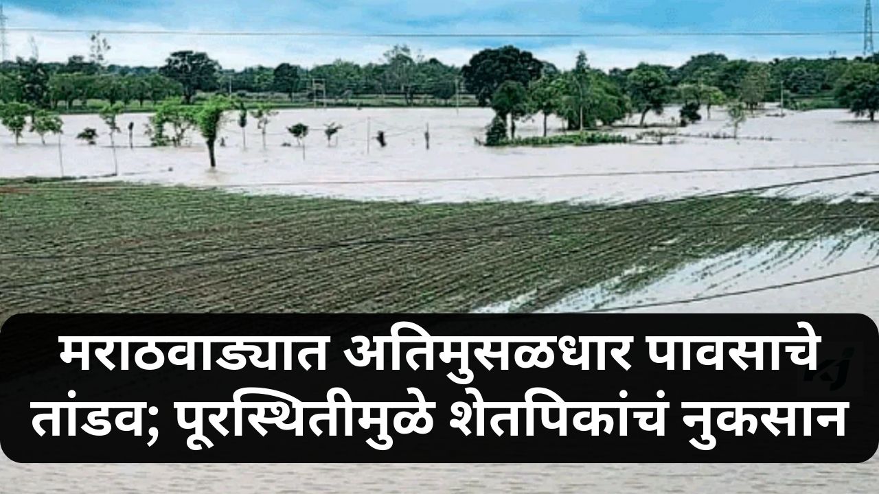 Marathawada Rain News