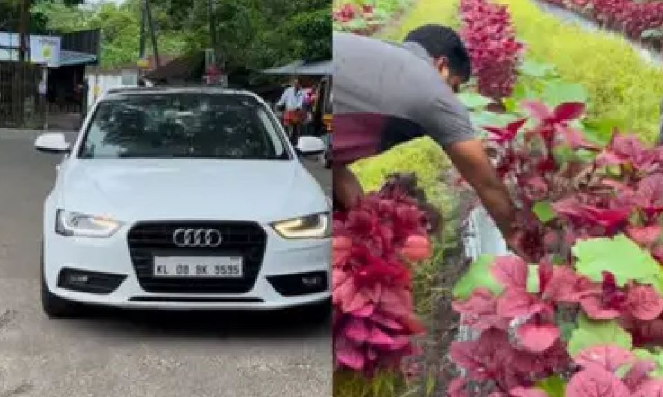 farmar Vegetables were sold from an Audi