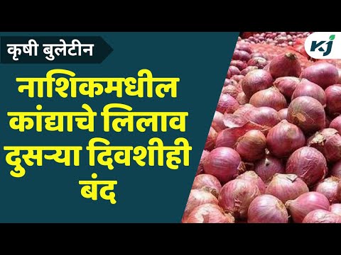 Onion Market Update: नाशिकमधील कांदा लिलाव दुसऱ्या दिवशीही बंद | Onion Market Update | Onion News