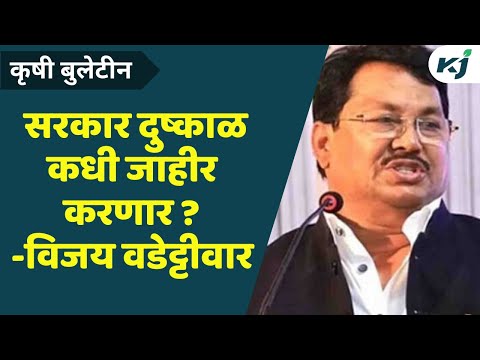 Maharashtra News: राज्यातील शेतकरी रोज मरतोय, सरकार दुष्काळ कधी जाहीर करणार ?Vijay wadettiwar | News