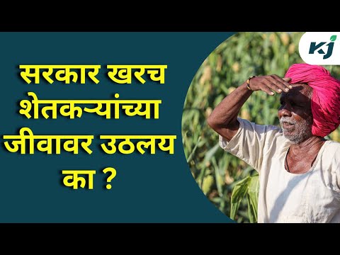 Agriculture News: सरकार शेतकऱ्यांच्या जीवावर उठलय का ? Drought News | Vijay wadettiwar | Farmer News