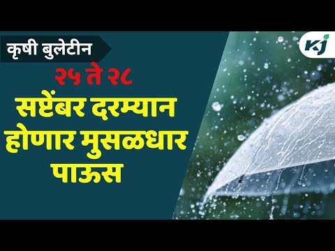 Rain Update: २५ ते २८ सप्टेंबर दरम्यान मुसळधार पावसाची शक्यता | Maharashtra News | Heavy Rain News |