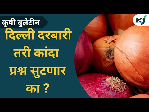 Maharashtra News: दिल्ली दरबारी कांदा प्रश्नावर तोडगा निघेल का?Onion News | Piyush Goyal | E-Piknews