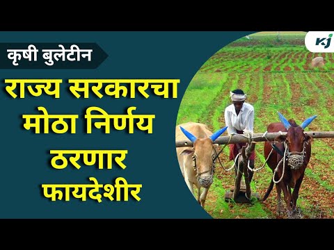 Farmer News: राज्य सरकारचा मोठा निर्णय शेतकऱ्यांना ठरणार फायदेशीर | State government | Farmer News |