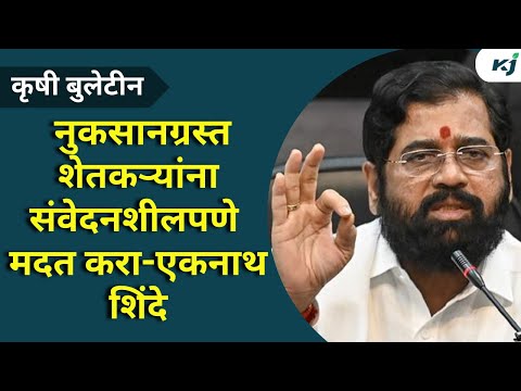 Agriculture News:नुकसानग्रस्त शेतकऱ्यांना संवेदनशीलपणे मदत करा-एकनाथ शिंदे CM Eknath Shinde | News