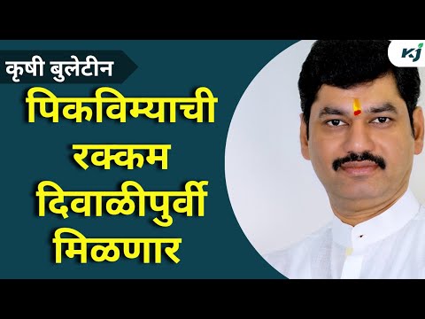 Maharashtra News: पिकविम्याची रक्कम दिवाळीपुर्वी देणार-धनंजय मुंडे | Pikvima | Dhananjay Munde |News