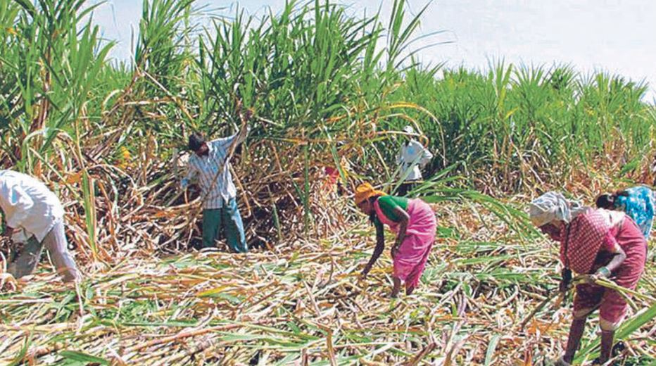 Gopinath Munde Sugarcane Cutting Corporation