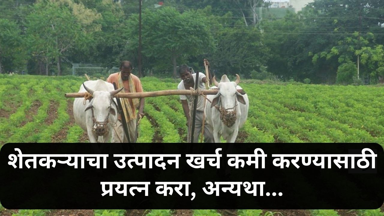 Agriculture Minister News