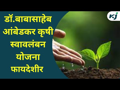 Maharashtra News: डॉ.बाबासाहेब आंबेडकर कृषी स्वावलंबन योजना | Farmer News | krishi swawlamban yojana