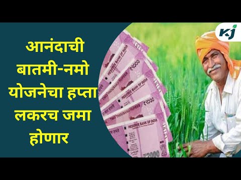 Maharashtra News: नमो योजनेचा हप्ता लवकरच जमा होणार | Namo Yojana | Kisan | PM Kisan | Agriculture |