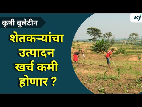 Farmer News: शेतकऱ्याचा उत्पादन खर्च कमी करण्यासाठी प्रयत्न करा-मुंडे 