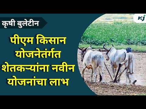 Pm kisan Scheme: पीएम किसान योजनेतंर्गत शेतकऱ्यांना नवीन योजनांचा लाभ | Government Scheme Update