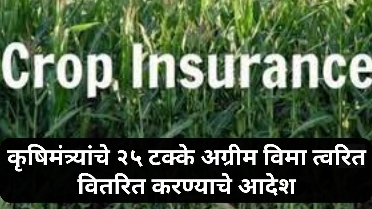 crop insurance update