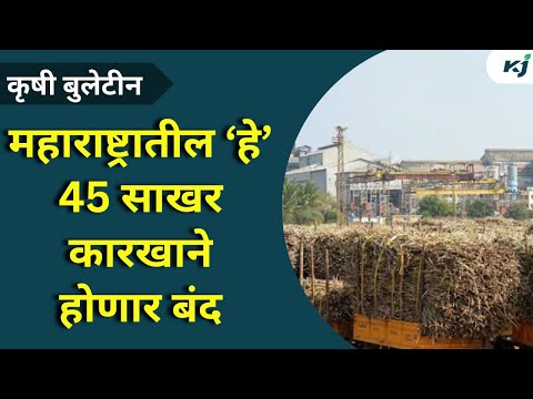 Maharashtra News: 45 साखर कारखाने होणार बंद | PM Modi | Sugarcane News | Shirdi News | Namo Yojana |