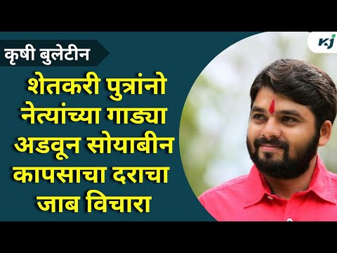 Maharashtra Newsस्वाभिमानी शेतकरी संघटनेचे नेते रविकांत तुपकर आक्रमक | Ravikant Tupkar | Farmer News