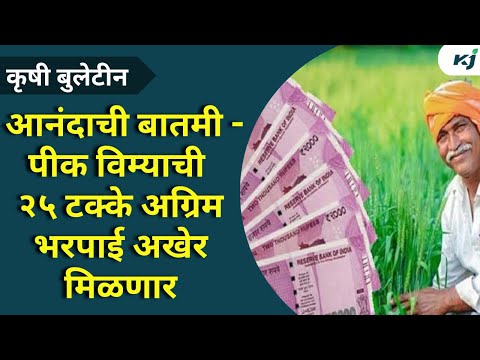 Maharashtra News : पीक विम्याची २५ टक्के अग्रिम भरपाई अखेर मिळणार | Pik Vima | Onion News | Onion |