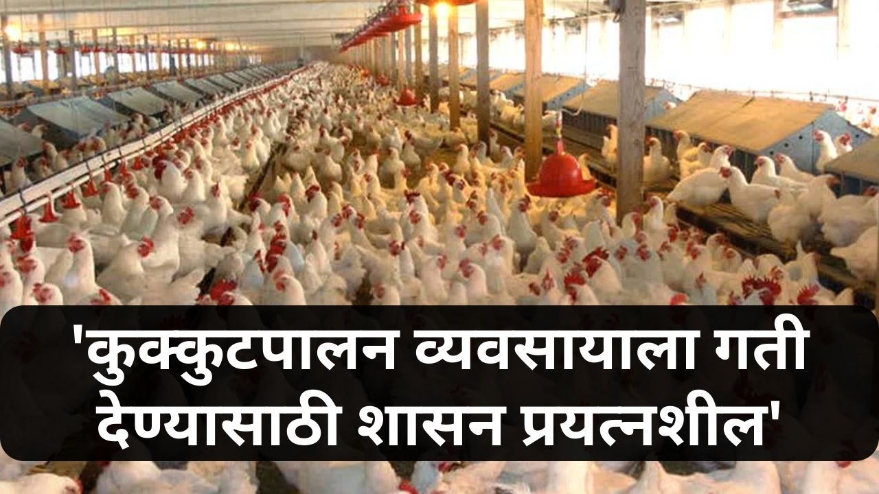 poultry business news