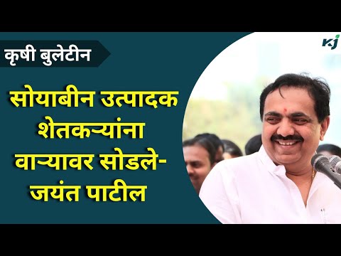 Maharashtra News:शेतकऱ्यांच्या मुद्द्यांवरुन जयंत पाटलांनी सरकारवर केला हल्लाबोल