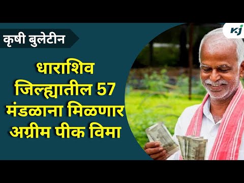 Maharashtra News: धाराशिव जिल्ह्यातील 57 मंडळाना मिळणार अग्रीम पीक विमा