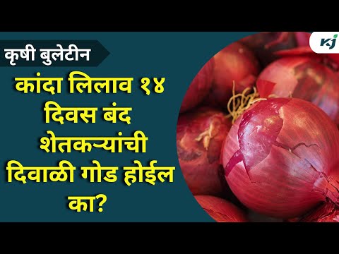 Maharashtra News:कांदा लिलाव १४ दिवस बंद राहणार | Onion News | Agriculture News | Farmer News | News