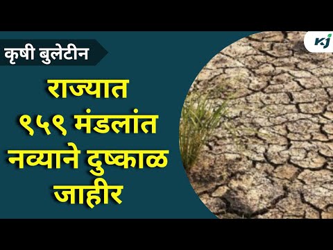 Maharashtra News: राज्यात ९५९ मंडलांत नव्याने दुष्काळ जाहीर | Drought | Farmer News | pik vima 2023