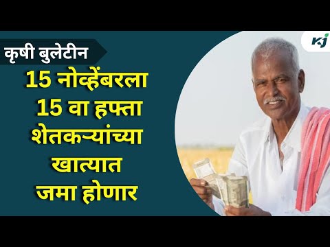 Maharashtra News: 15 नोव्हेंबरला 15 वा हफ्ता शेतकऱ्यांच्या खात्यात जमा होणार