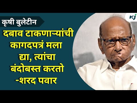 Maharashtra News:दबाव टाकणाऱ्यांची कागदपत्रं मला द्या, त्यांचा बंदोबस्त करतो-शरद पवार 