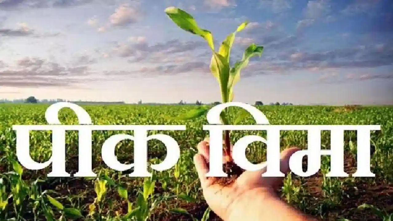 Pradhan Mantri Crop Insurance Yojana News