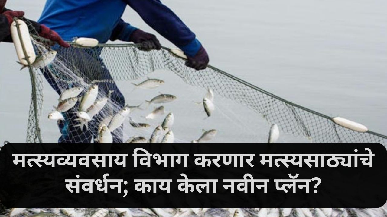 Fisheries Department  News