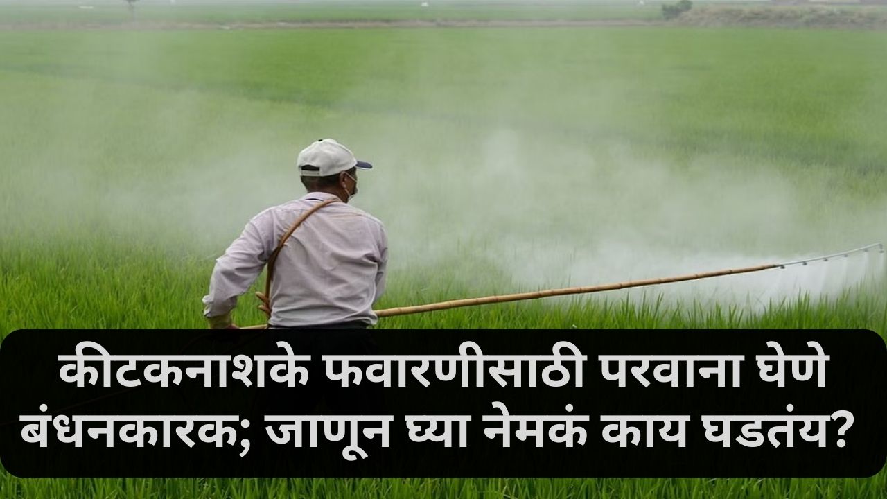 pesticide spraying news