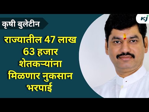 Maharashtra News:राज्यातील 47 लाख 63 हजार शेतकऱ्यांची नुकसान भरपाई मंजूर-धनंजय मुंडे Dhananjay Munde