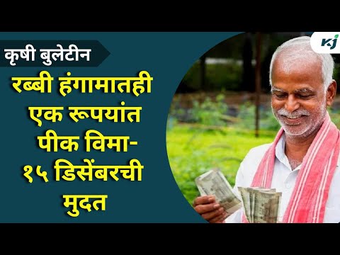 Agriculture News: एक रूपयांत पीक विम्यासाठी १५ डिसेंबरची मुदत |Pik-Vima | Raju Shetti | Onion | Milk