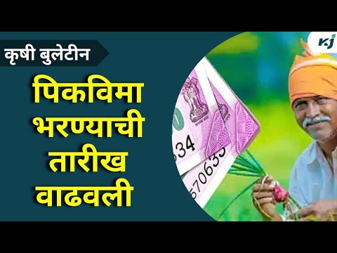 Maharashtra News: .पिक विमा भरण्याची अंतिम तारखेत वाढ ,योजनेत सहभागी व्हावं धनंजय मुंडेंचं आवाहन