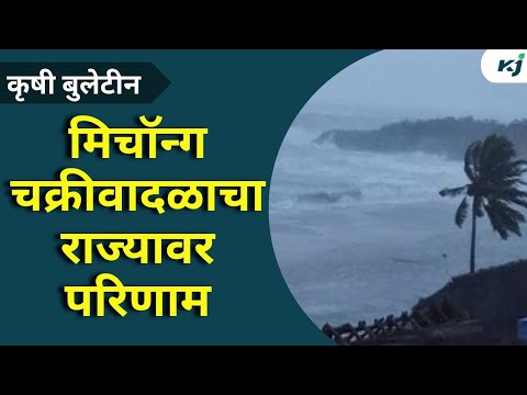 Maharashtra News: सरकारने मदत जाहीर करावी,शेतकऱ्यांची मागणी | Sugarcane | Maharashtra News | Farmer