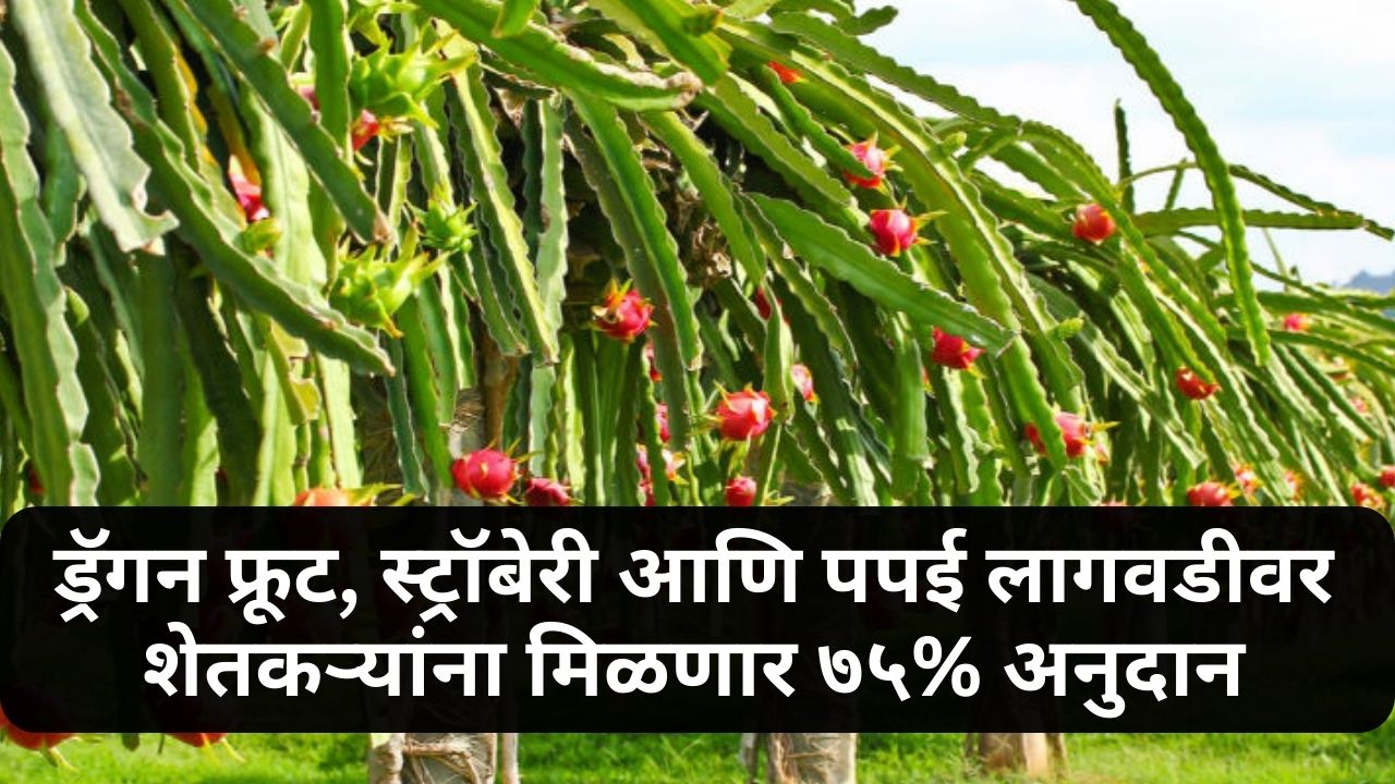 Agriculture Subsidy News