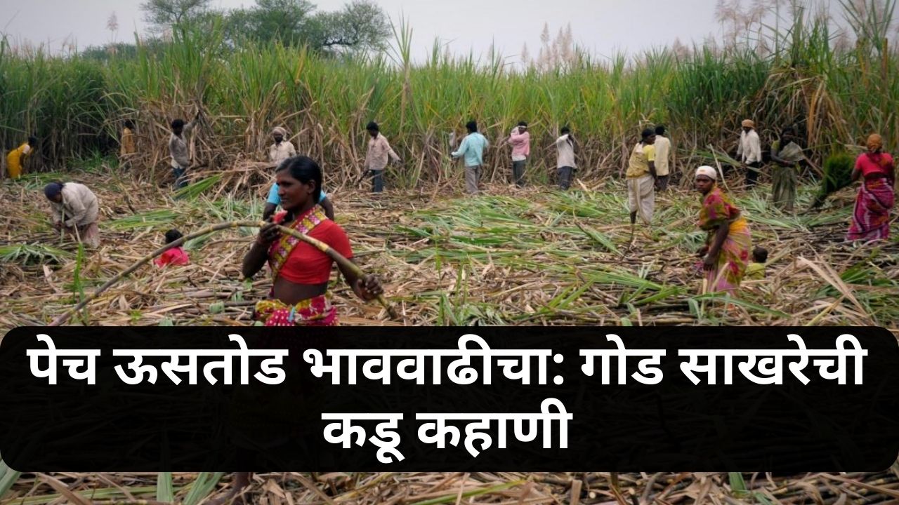 Sugarcane Worker News
