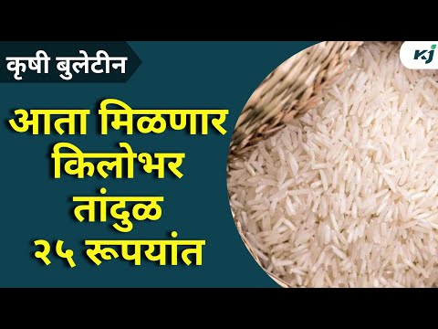 Agriculture News: केंद्र सरकारचा मोठा निर्णय,आता मिळणार किलोभर तांदुळ २५ रूपयांत | Rice Rate | News