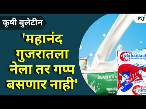 Mahanand Milk Issue: 'महानंद गुजरातला नेला तर गप्प बसणार नाही'